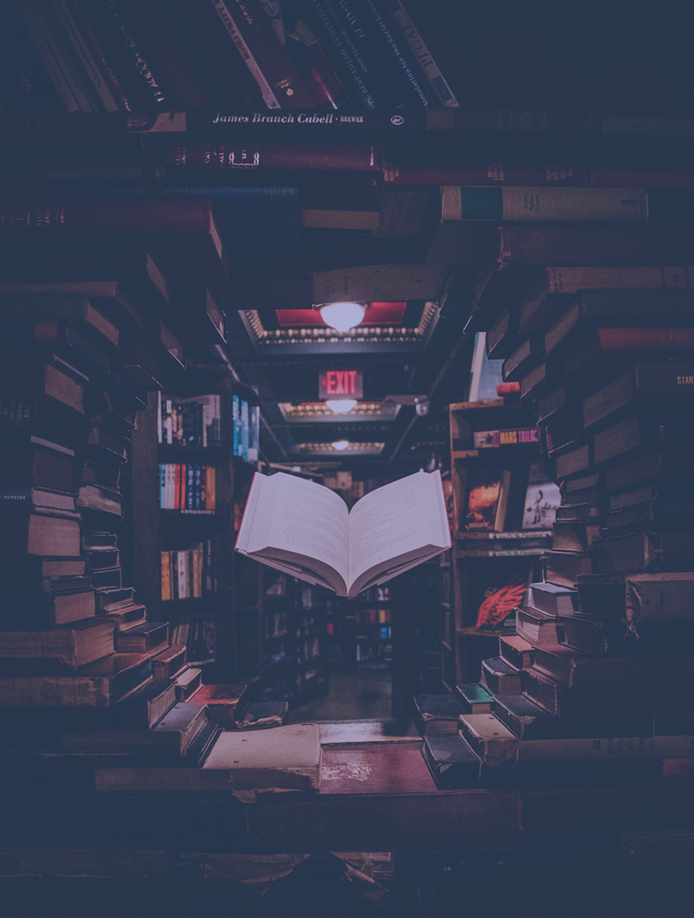 Contentful Storylines: The Future of Content Storytelling