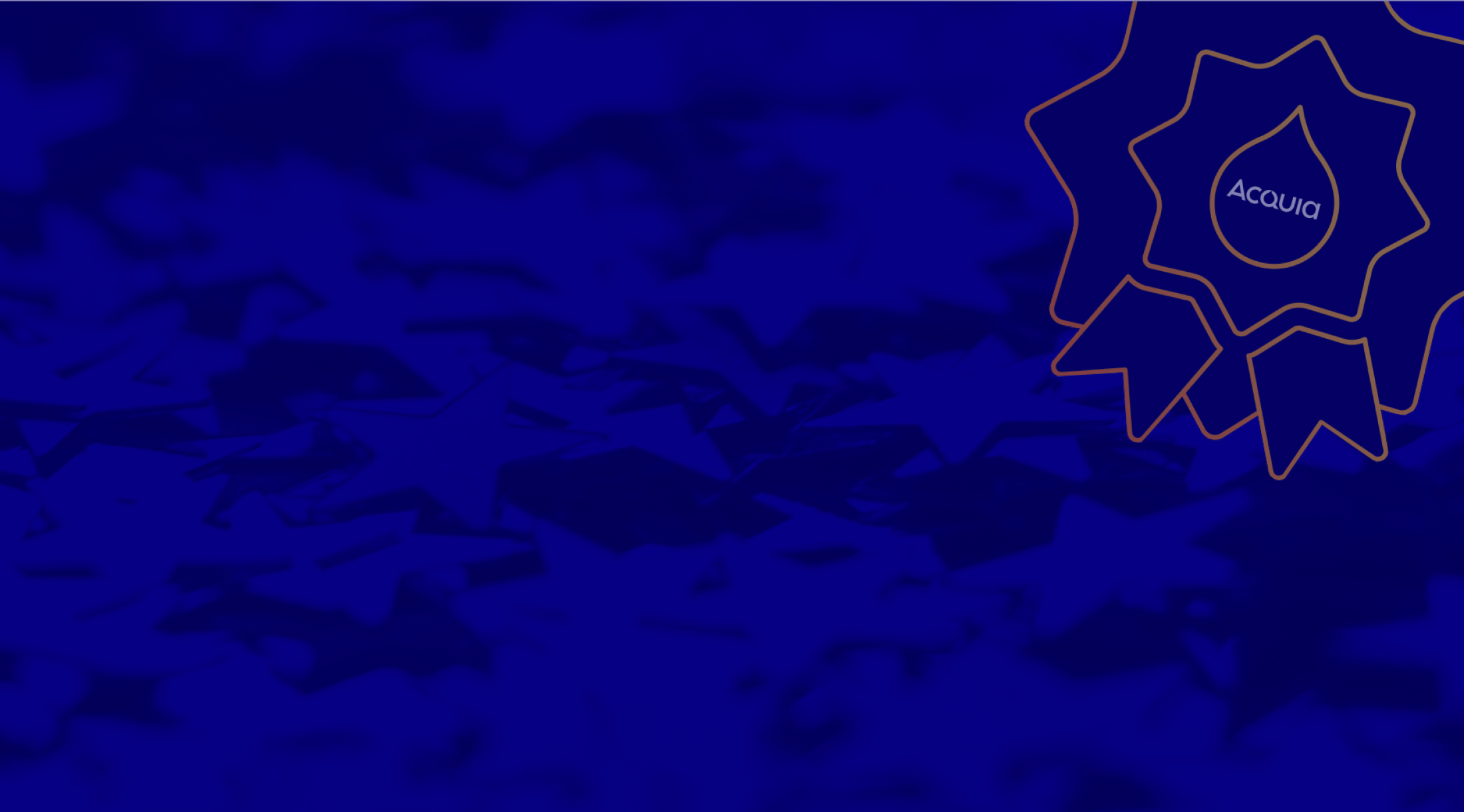 Homepage Acquia Partner Award