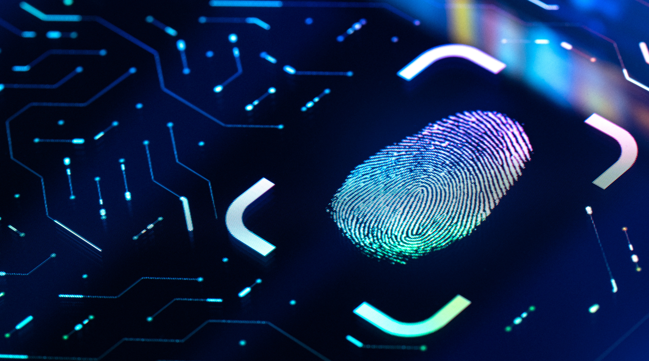 WEB WIDESCREEN  (1)-2