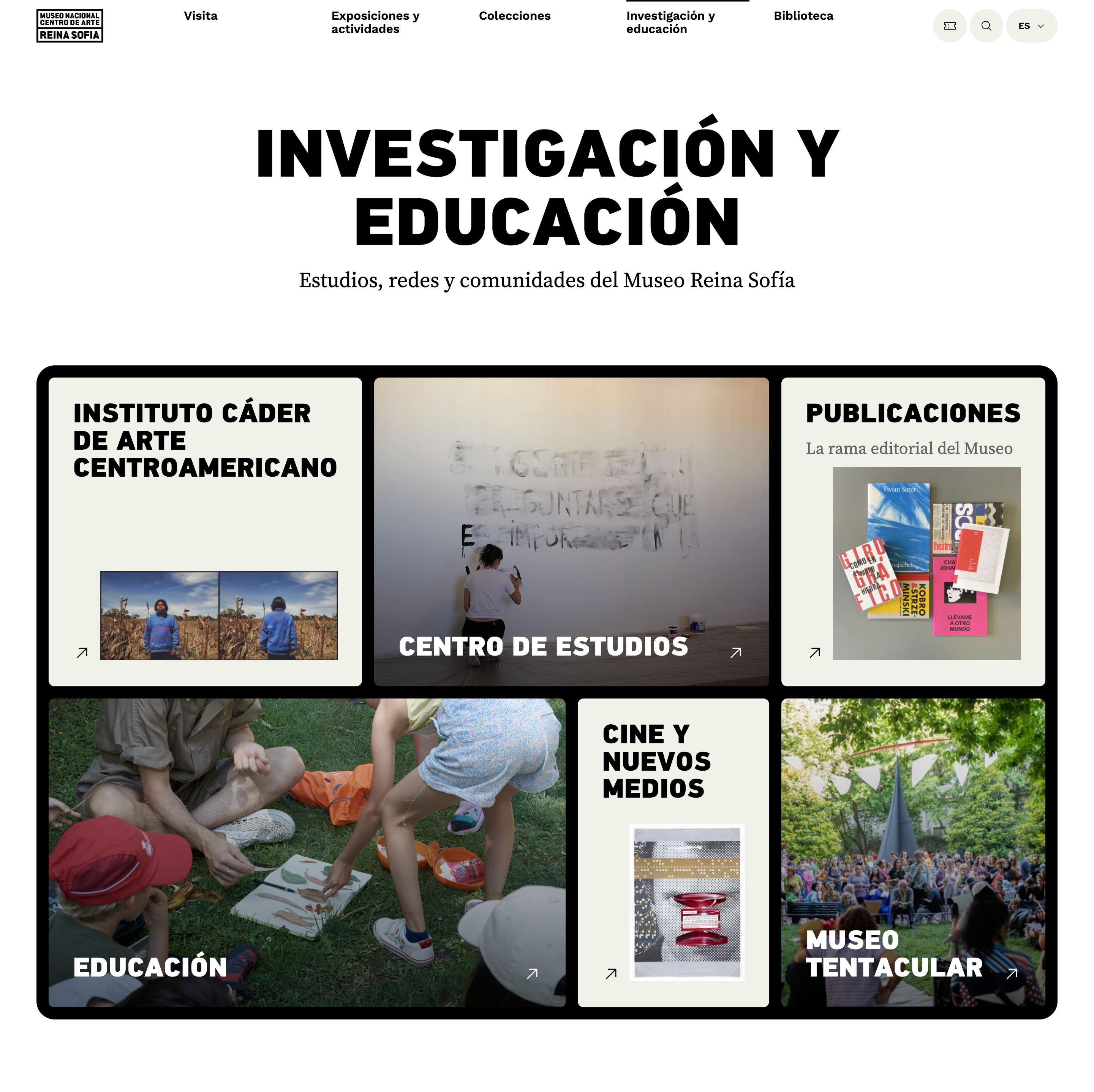 imagen (10)